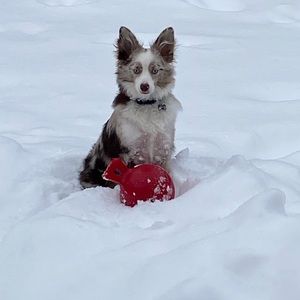 Meet your Posher, Kara